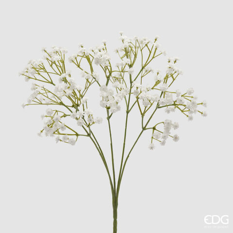 EDG Enzo De Gasperi - Gypsophila Cespuglio X5 H 40 Cm