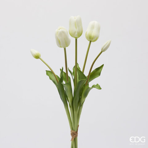 EDG Enzo De Gasperi - Tulipano Olis Mazzo Da 5 Pezzi H 48 Cm