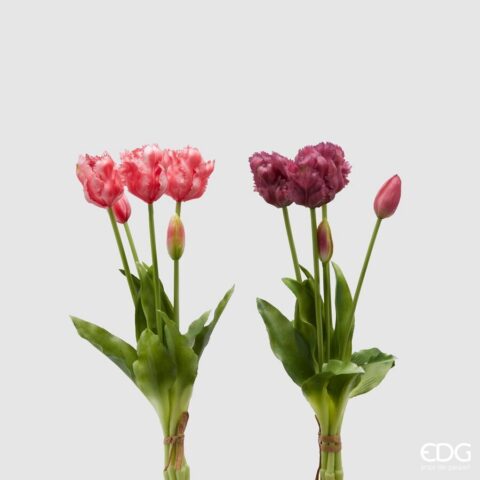 EDG Enzo De Gasperi - Tulipano Olis Mazzo Da 5 Pezzi