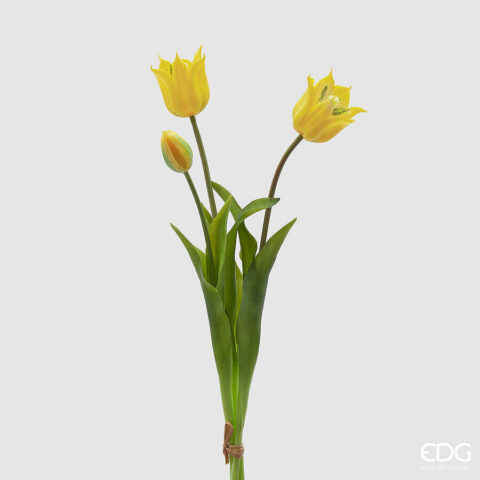 EDG Enzo De Gasperi - Tulipano Olis Mazzo Da 3 Pezzi H 48 Cm
